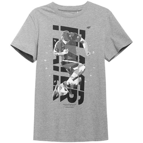 Textil Homem T-Shirt HAIDEN curtas 4F H4L21 TSM011 Cinza