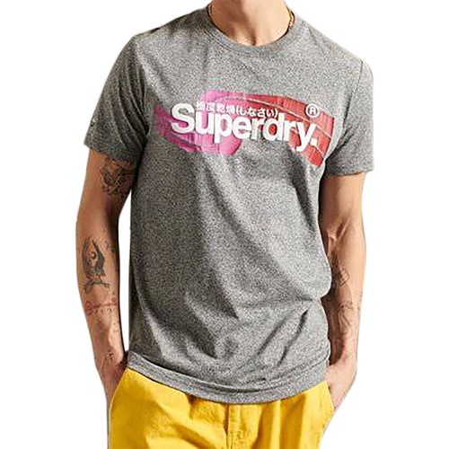 Textil Homem T-Shirt mangas curtas Superdry 168643 Cinza