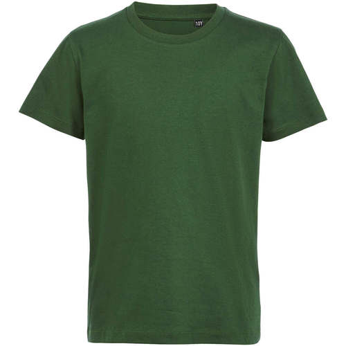 Textil Criança Regent Fit Camiseta Manga Sols CAMISETA DE MANGA CORTA Verde