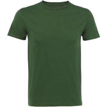 Textil Homem Boy Crew Neck Long Sleeve Knitted Sweat Shirt Sols CAMISETA DE MANGA CORTA Verde