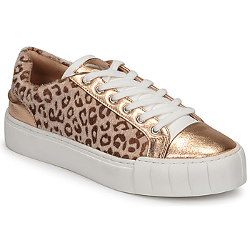 Sapatos Mulher Sapatilhas Vanessa Wu LEVANTER Leopardo