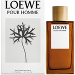Loewe Pre-Owned Barcelona 2way hand bag