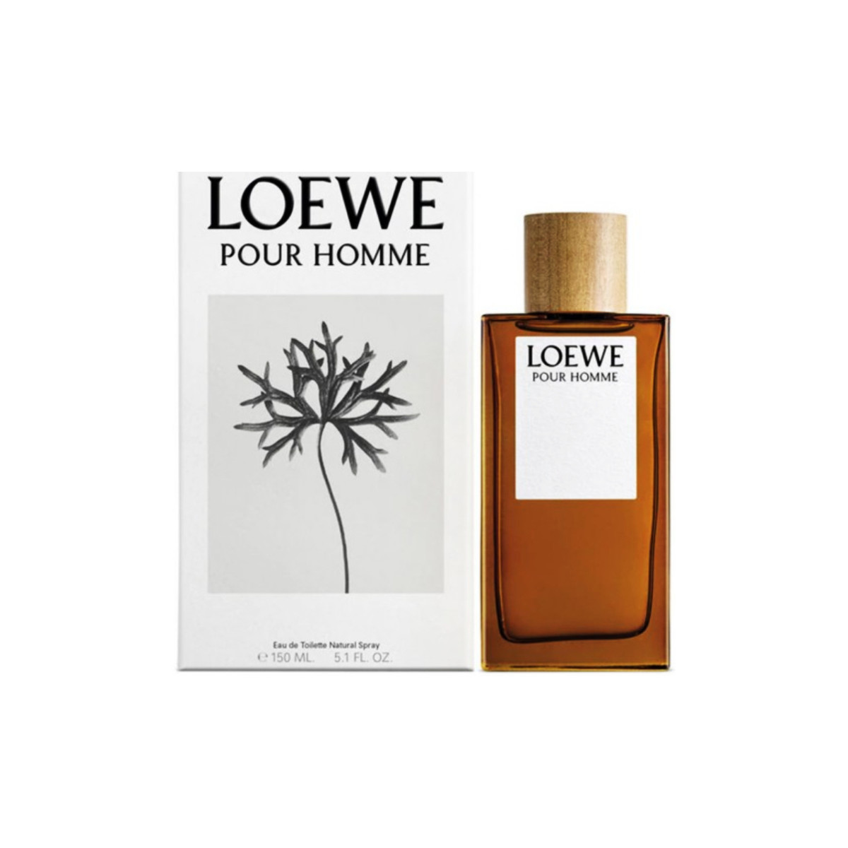 beleza Homem Colónia Loewe Ash Pour Homme - colônia - 150ml - vaporizador Pour Homme - cologne - 150ml - spray