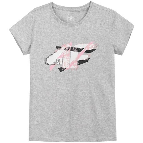 Textil Rapariga T-Shirt mangas curtas 4F JTSD002A Cinza