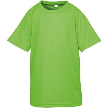 Textil Criança T-Shirt mangas curtas Spiro SR287B Soco de lima