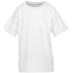 Textil Criança T-Shirt mangas curtas Spiro SR287B Branco