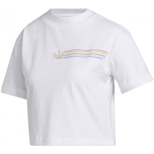 Textil Mulher T-shirts Cropped e Pólos adidas Originals Pride Linear Cr Branco