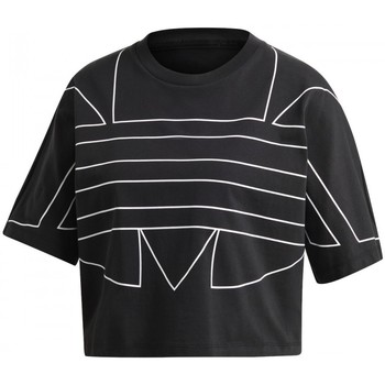 Textil Mulher T-shirts Grau e Pólos adidas Originals Lrg Logo Tee Preto