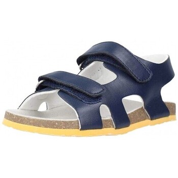 Sapatos Sandálias Chicco 25449-15 Azul