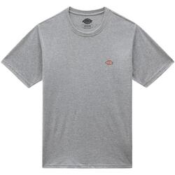 Textil Homem T-Shirt mangas curtas Dickies T-shirt Mapleton Grey Cinza