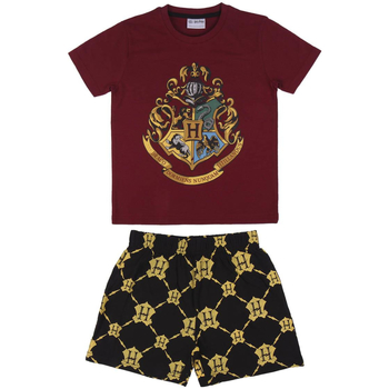 Textil Criança Pijamas / Camisas de dormir Harry Potter 2200006993 Vermelho
