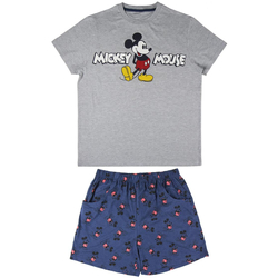 Textil Homem Pijamas / Camisas de dormir Disney 2200004974 Cinza