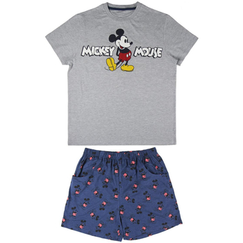Textil Homem Pijamas / Camisas de dormir Disney 2200004974 Cinza