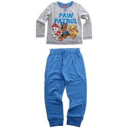 Textil Rapaz Pijamas / Camisas de dormir Dessins Animés PAW 52 04 1264 Gris