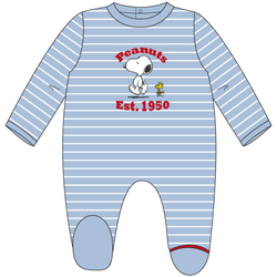 Textil Criança Pijamas / Camisas de dormir Snoopy 2200006140 Azul