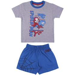 Textil Rapaz Pijamas / Camisas de dormir Marvel 2200006965 Gris