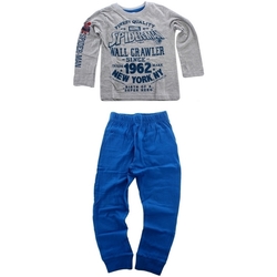 Textil Rapaz Pijamas / Camisas de dormir Marvel SP S 52 04 1062 Gris