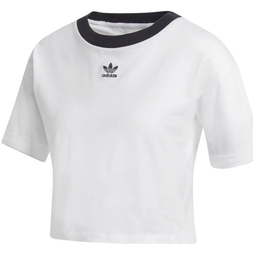 Textil Mulher T-shirts Cropped e Pólos adidas Originals Crop Top Branco