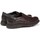 Sapatos Homem Sapatos & Richelieu Fluchos mod.8830 Castanho