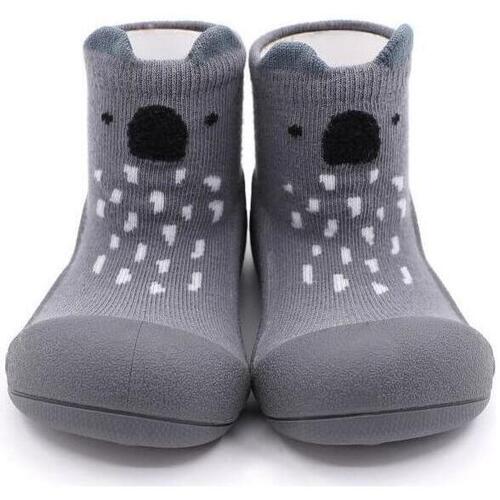 Sapatos Criança Pantufas bebé Attipas Endangered Animal Koala - Grey Cinza