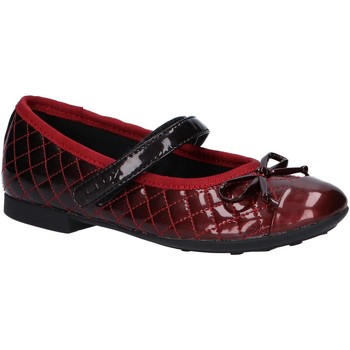 Sapatos Rapariga Sabrinas Geox J5455D 000GX J PLIE Rojo