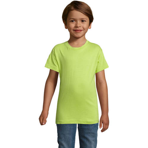Textil Criança T-Shirt Raglan mangas curtas Sols REGENT FIT CAMISETA MANGA CORTA Verde