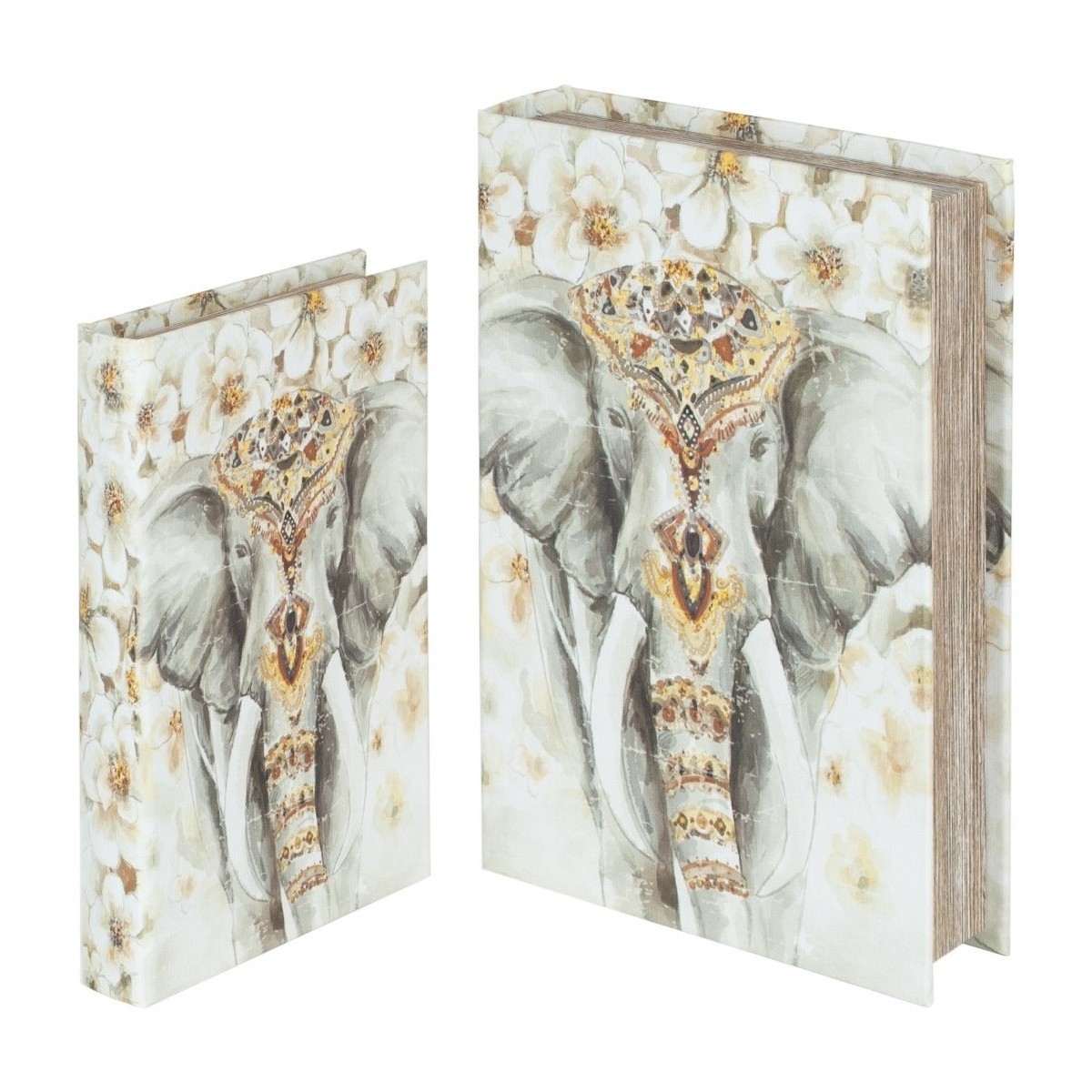 Casa Cestos e Caixas decorativas  Signes Grimalt Elephant Book Boxes Set 2U Multicolor