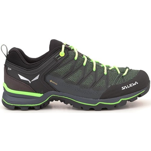Sapatos Homem Joggings & roupas de treino Salewa MS Mtn Trainer Lite Gtx Verde