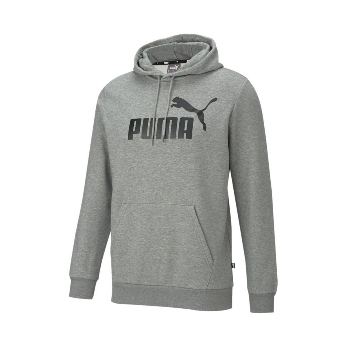 Textil Homem Sweats Puma Essential Big Logo Hoody Cinza