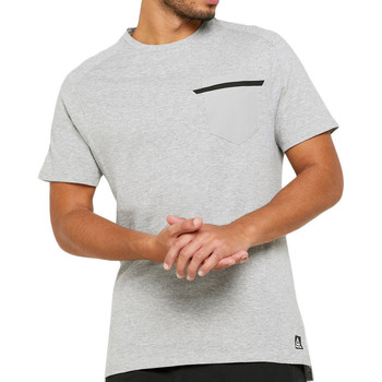 Textil Homem T-shirts e Pólos Reebok Spray Sport  Cinza