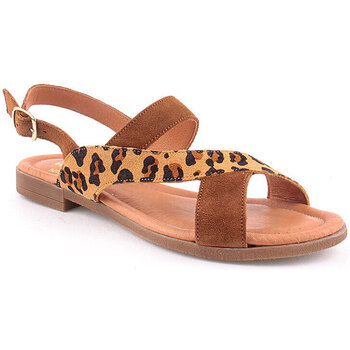 Sapatos Mulher Sandálias Wilano L Sandals Lady Leopardo