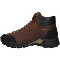 Sapatos Homem Sapatilhas de cano-alto IgI&CO 8140222 Castanho