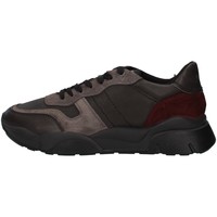 Sapatos Homem Sapatilhas IgI&CO 8136522 Cinza