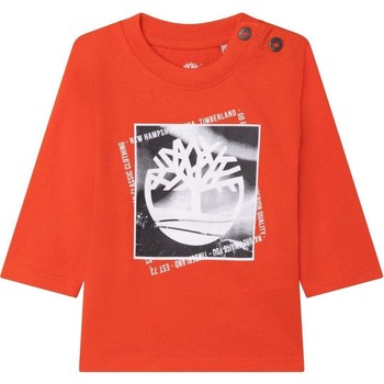 Textil Rapaz T-shirt mangas compridas Timberland  Laranja