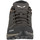 Sapatos Mulher Sapatos de caminhada Salewa Mtn Trainer Lite GTX 61362-7517 Multicolor