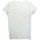 Textil Mulher T-Shirt mangas curtas 4F TSD353 Cinza