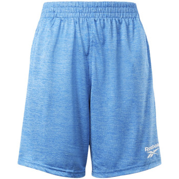 Textil Criança Shorts blue / Bermudas Reebok Sport  Azul