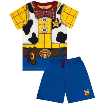 Textil Rapaz Pijamas / Camisas de dormir Toy Story  Multicolor