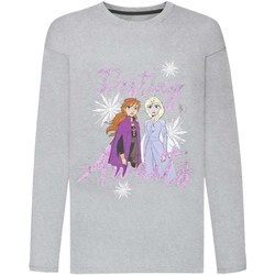 Textil Rapariga T-shirt mangas compridas Disney  Cinza