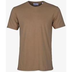 Textil T-Shirt mangas curtas Colorful Standard T-shirt  Sahara Camel marron