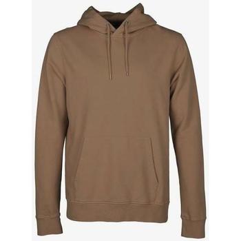 Textil Sweats Colorful Standard Sweatshirt à capuche  Sahara Camel marron clair