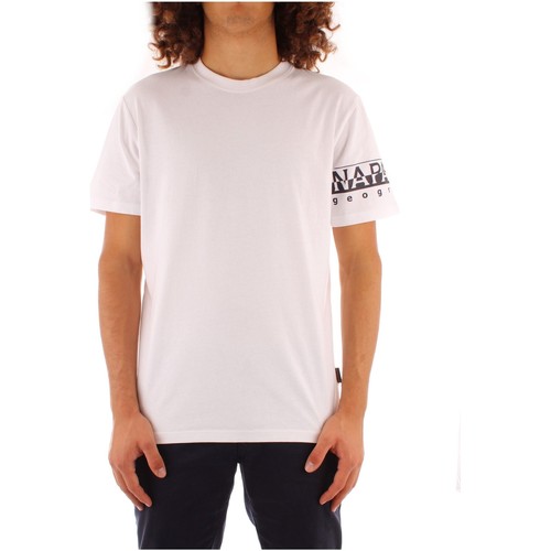 Textil Homem T-Shirt polo mangas curtas Napapijri NP0A4FRH0021 Branco