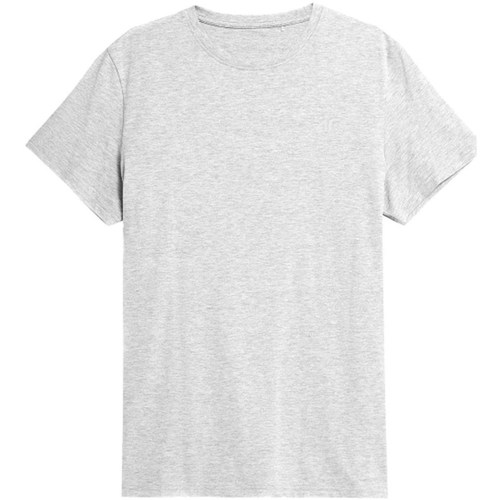 Textil Homem T-Shirt mangas curtas 4F TSM352 Cinza