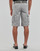 Textil Homem Shorts / Bermudas Teddy Smith SYTRO 3 Cinza / Claro