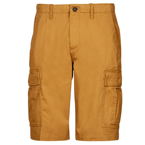 Textil Homem Shorts / Bermudas Timberland Brooklyn OUTDOOR HERITAGE RELAXED CARGO Bege