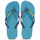 Sapatos Chinelos Havaianas BRASIL LOGO Azul