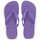 Sapatos Mulher Chinelos Havaianas TOP Violeta