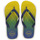 Sapatos Chinelos Havaianas BRASIL FRESH Verde / Azul / Amarelo