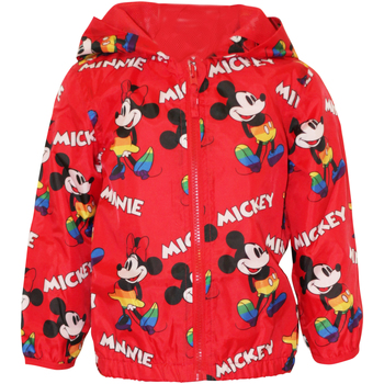 Textil Rapaz Corta vento Disney  Vermelho
