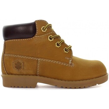 Sapatos Botas Lumberjack 25784-18 Castanho